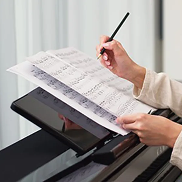 Music City – Tổng Kho Piano, Guitar, Organ | Dịch Vụ Giáo Dục Âm Nhạc