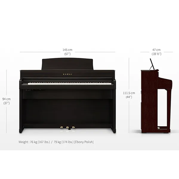 Music City – Tổng Kho Piano, Guitar, Organ | Dịch Vụ Giáo Dục Âm Nhạc