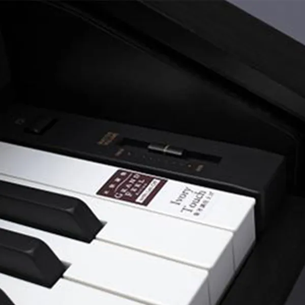 Music City – Tổng Kho Piano, Guitar, Organ | Dịch Vụ Giáo Dục Âm Nhạc