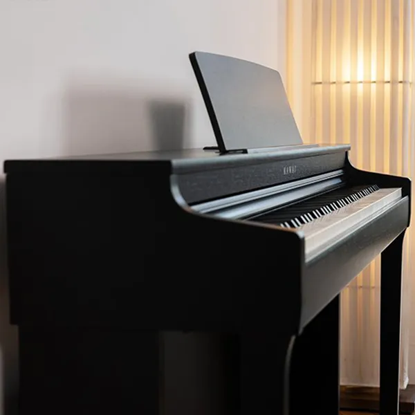 Music City – Tổng Kho Piano, Guitar, Organ | Dịch Vụ Giáo Dục Âm Nhạc