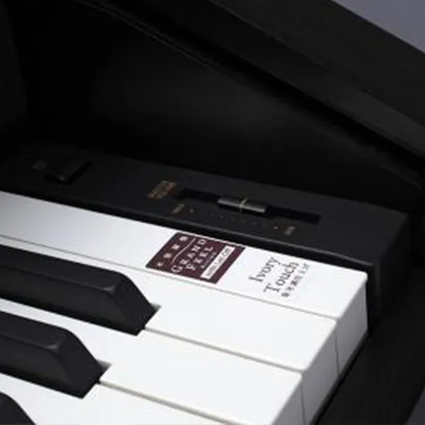 Music City – Tổng Kho Piano, Guitar, Organ | Dịch Vụ Giáo Dục Âm Nhạc