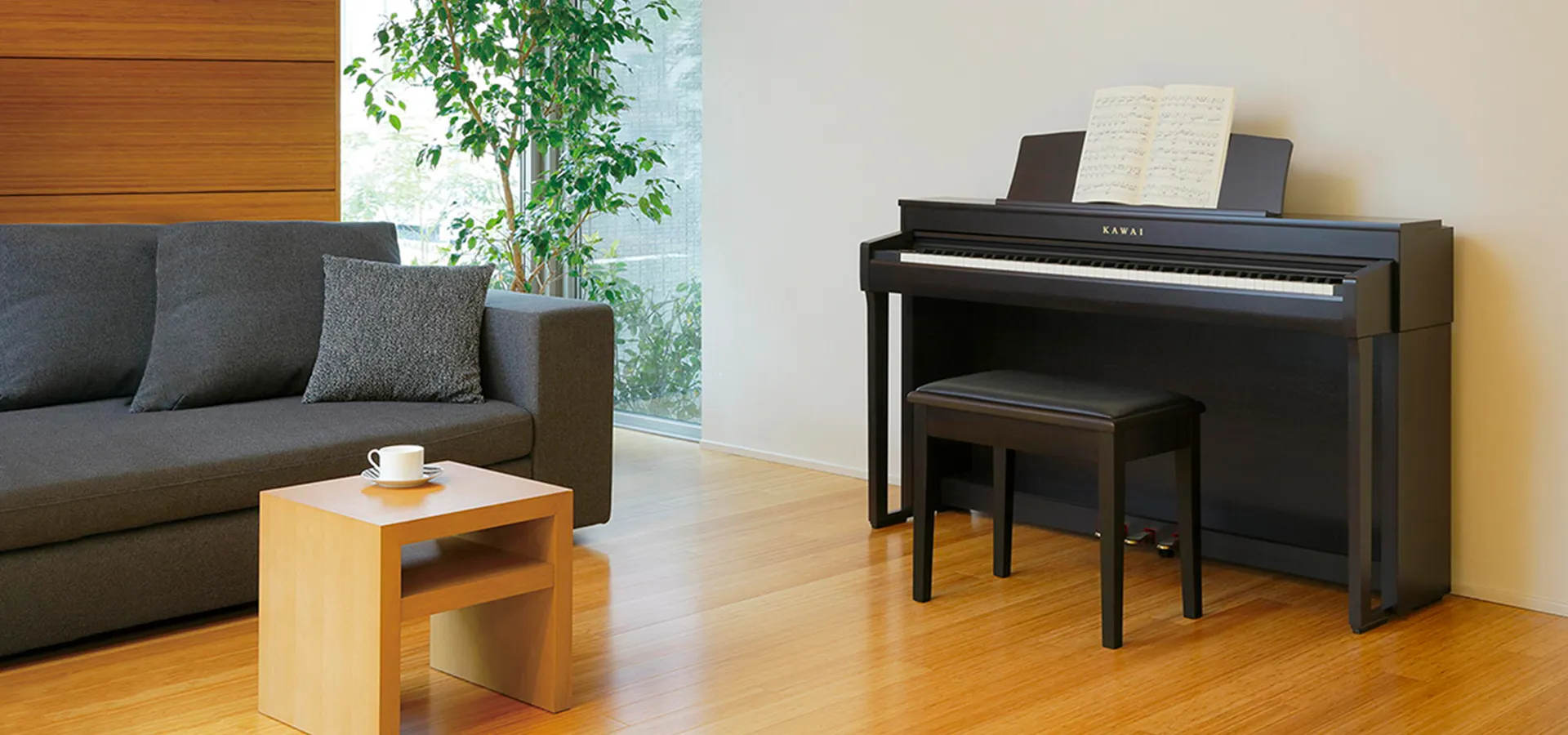 Music City – Tổng Kho Piano, Guitar, Organ | Dịch Vụ Giáo Dục Âm Nhạc