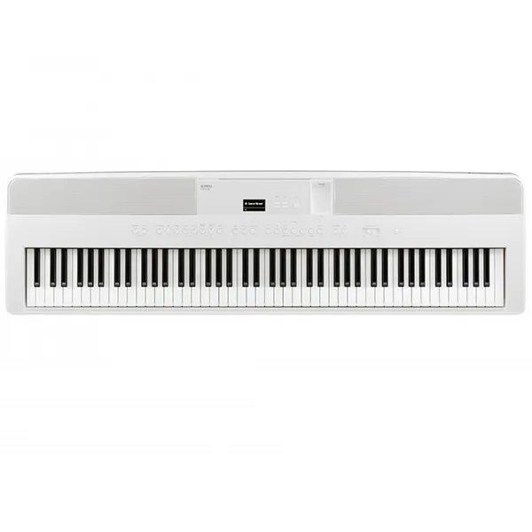 Music City – Tổng Kho Piano, Guitar, Organ | Dịch Vụ Giáo Dục Âm Nhạc