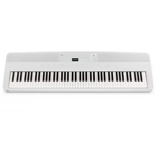 Music City – Tổng Kho Piano, Guitar, Organ | Dịch Vụ Giáo Dục Âm Nhạc