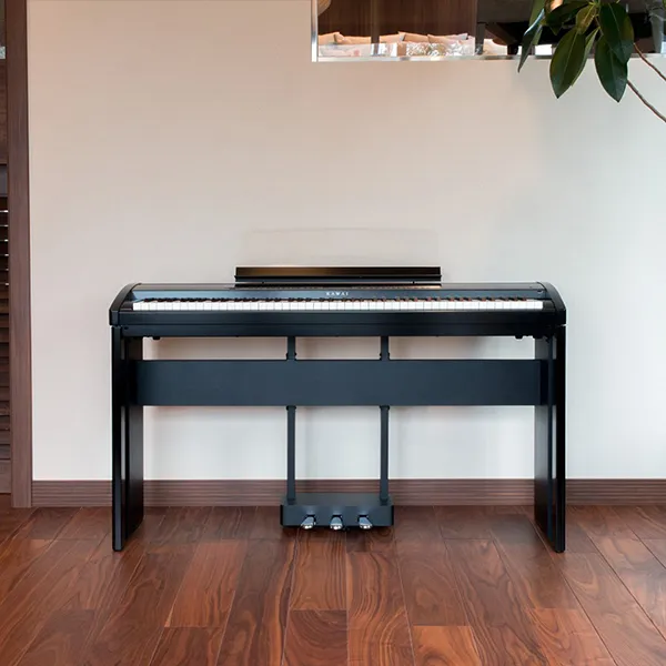 Music City – Tổng Kho Piano, Guitar, Organ | Dịch Vụ Giáo Dục Âm Nhạc