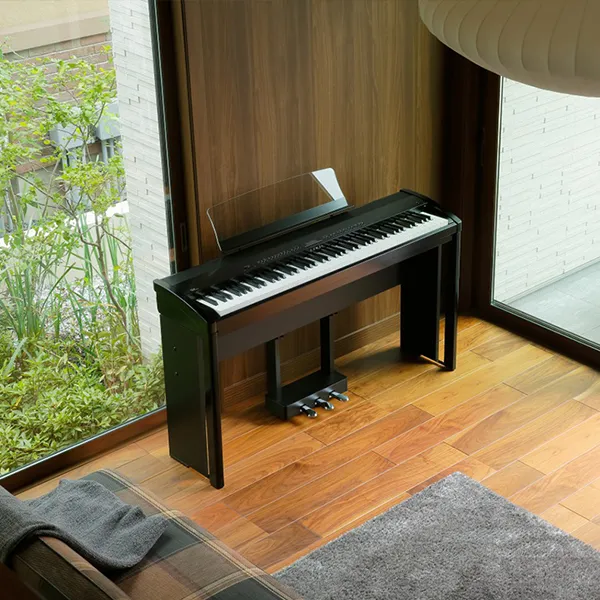 Music City – Tổng Kho Piano, Guitar, Organ | Dịch Vụ Giáo Dục Âm Nhạc