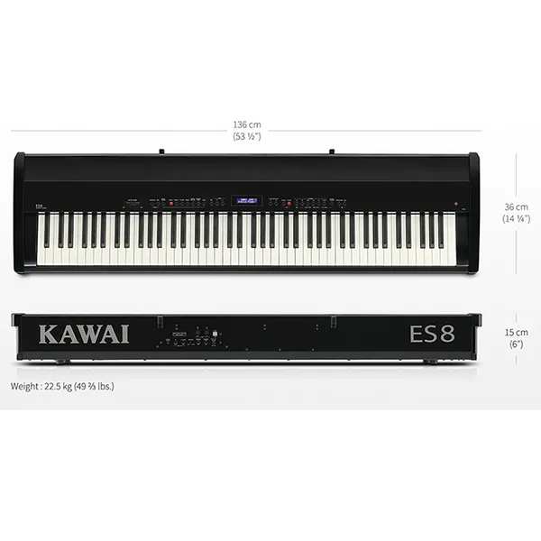 Music City – Tổng Kho Piano, Guitar, Organ | Dịch Vụ Giáo Dục Âm Nhạc