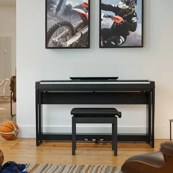 Music City – Tổng Kho Piano, Guitar, Organ | Dịch Vụ Giáo Dục Âm Nhạc