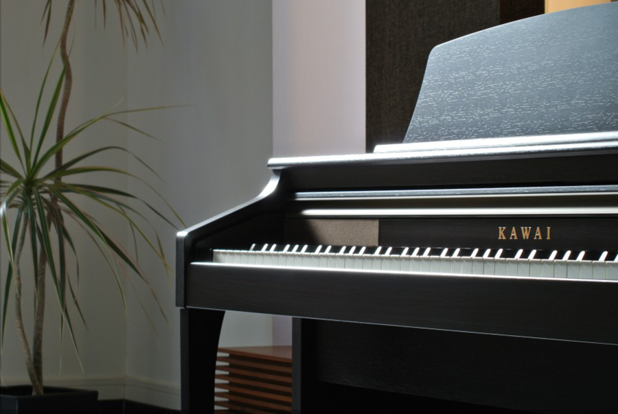 Music City – Tổng Kho Piano, Guitar, Organ | Dịch Vụ Giáo Dục Âm Nhạc