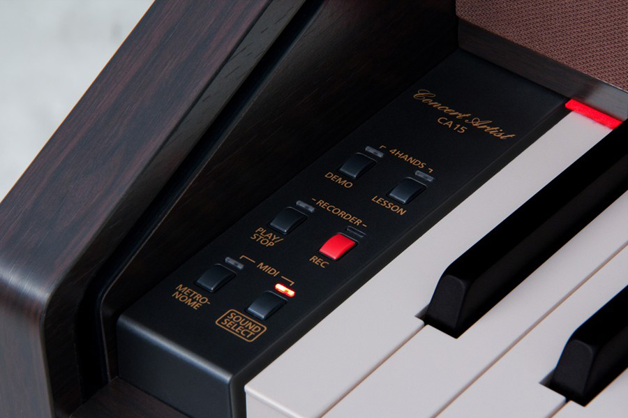 Music City – Tổng Kho Piano, Guitar, Organ | Dịch Vụ Giáo Dục Âm Nhạc