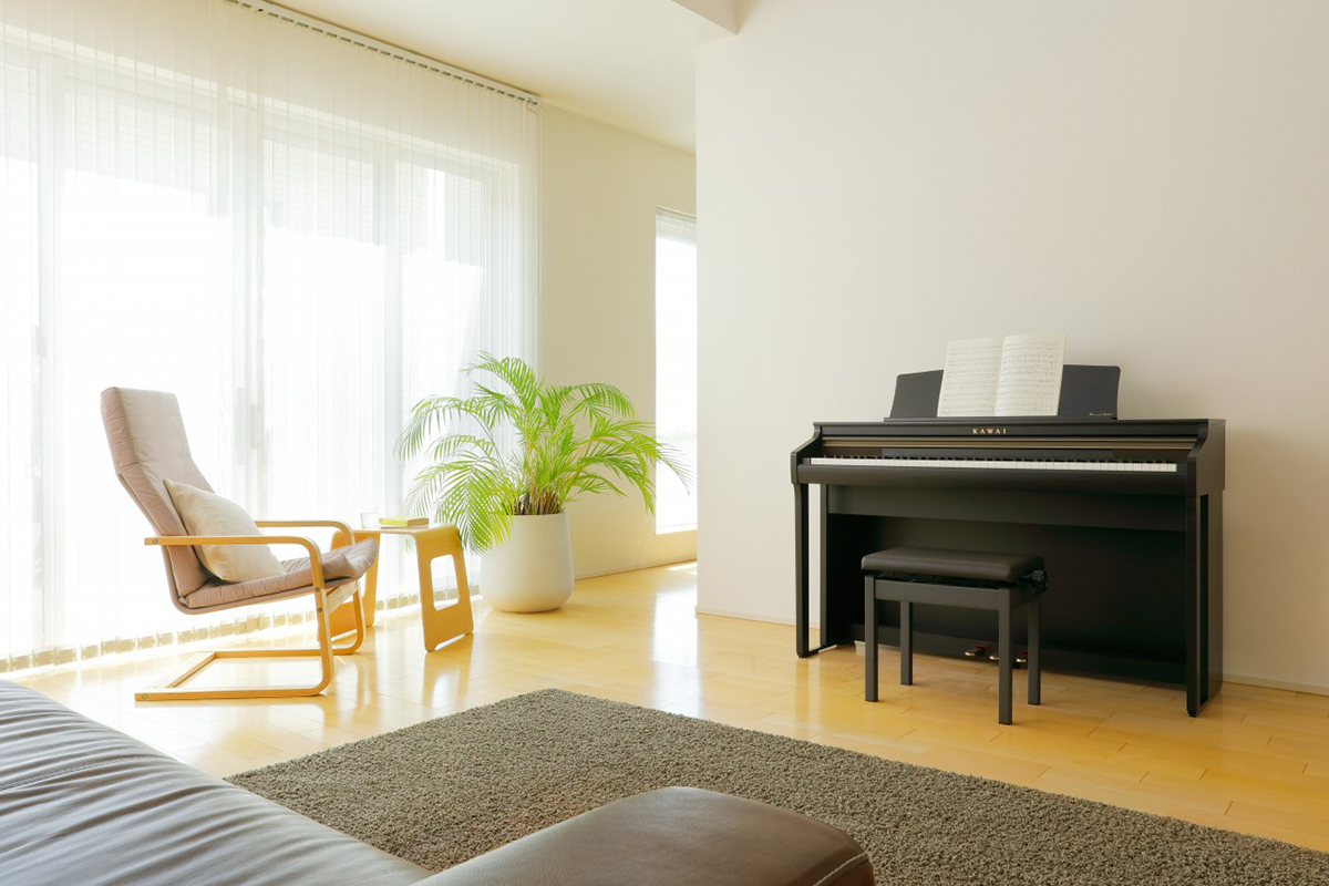 Music City – Tổng Kho Piano, Guitar, Organ | Dịch Vụ Giáo Dục Âm Nhạc