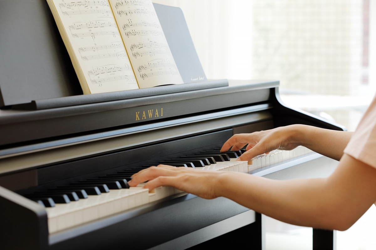Music City – Tổng Kho Piano, Guitar, Organ | Dịch Vụ Giáo Dục Âm Nhạc