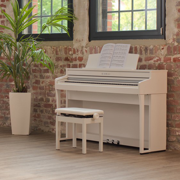 Music City – Tổng Kho Piano, Guitar, Organ | Dịch Vụ Giáo Dục Âm Nhạc