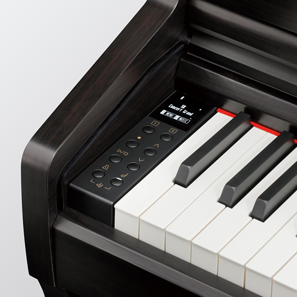 Music City – Tổng Kho Piano, Guitar, Organ | Dịch Vụ Giáo Dục Âm Nhạc
