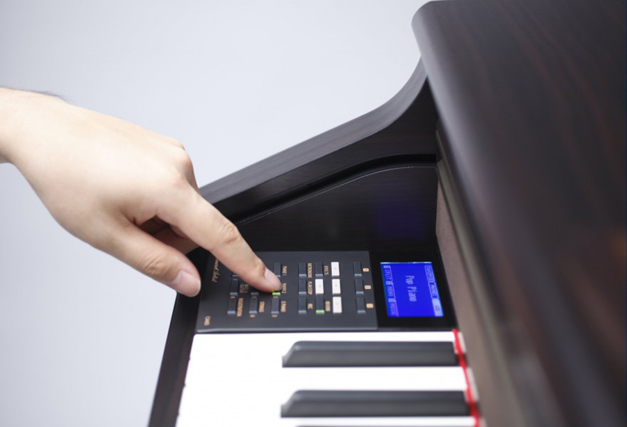 Music City – Tổng Kho Piano, Guitar, Organ | Dịch Vụ Giáo Dục Âm Nhạc