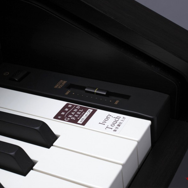 Music City – Tổng Kho Piano, Guitar, Organ | Dịch Vụ Giáo Dục Âm Nhạc