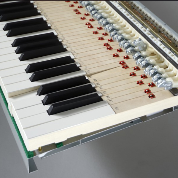Music City – Tổng Kho Piano, Guitar, Organ | Dịch Vụ Giáo Dục Âm Nhạc