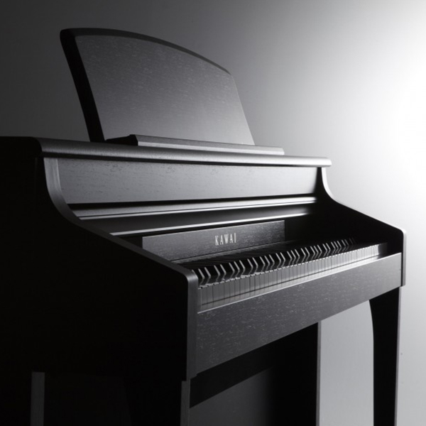 Music City – Tổng Kho Piano, Guitar, Organ | Dịch Vụ Giáo Dục Âm Nhạc
