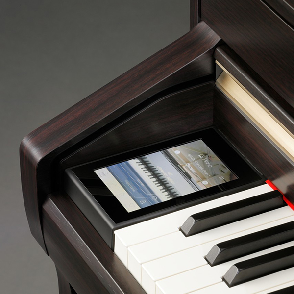 Music City – Tổng Kho Piano, Guitar, Organ | Dịch Vụ Giáo Dục Âm Nhạc