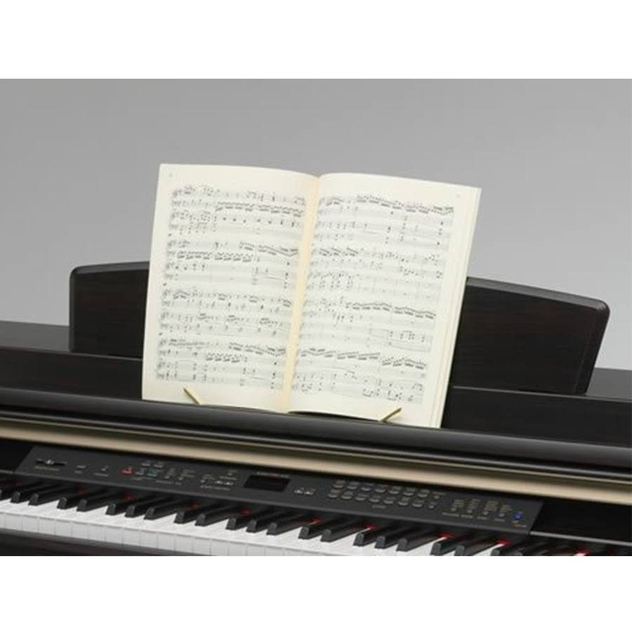 Music City – Tổng Kho Piano, Guitar, Organ | Dịch Vụ Giáo Dục Âm Nhạc