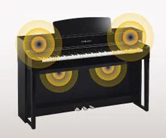 Music City – Tổng Kho Piano, Guitar, Organ | Dịch Vụ Giáo Dục Âm Nhạc