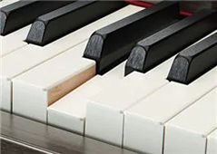 Music City – Tổng Kho Piano, Guitar, Organ | Dịch Vụ Giáo Dục Âm Nhạc