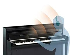 Music City – Tổng Kho Piano, Guitar, Organ | Dịch Vụ Giáo Dục Âm Nhạc