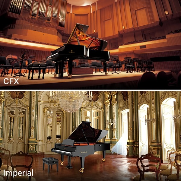 Music City – Tổng Kho Piano, Guitar, Organ | Dịch Vụ Giáo Dục Âm Nhạc