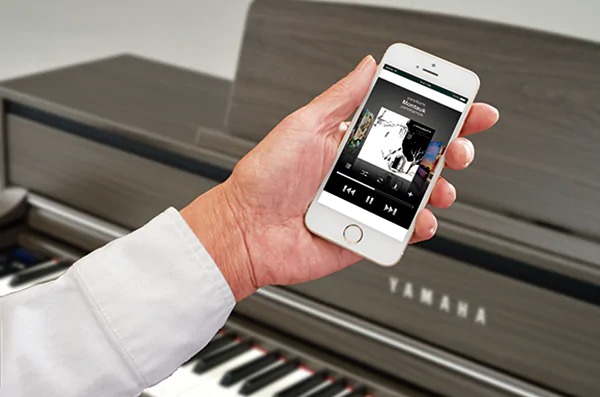 Music City – Tổng Kho Piano, Guitar, Organ | Dịch Vụ Giáo Dục Âm Nhạc