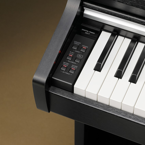 Music City – Tổng Kho Piano, Guitar, Organ | Dịch Vụ Giáo Dục Âm Nhạc
