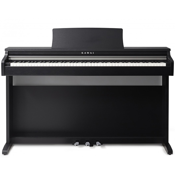 Music City – Tổng Kho Piano, Guitar, Organ | Dịch Vụ Giáo Dục Âm Nhạc