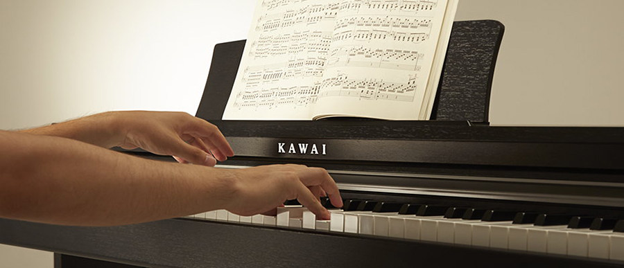 Music City – Tổng Kho Piano, Guitar, Organ | Dịch Vụ Giáo Dục Âm Nhạc