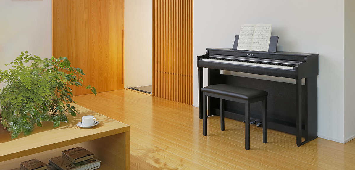 Music City – Tổng Kho Piano, Guitar, Organ | Dịch Vụ Giáo Dục Âm Nhạc