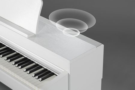 Music City – Tổng Kho Piano, Guitar, Organ | Dịch Vụ Giáo Dục Âm Nhạc