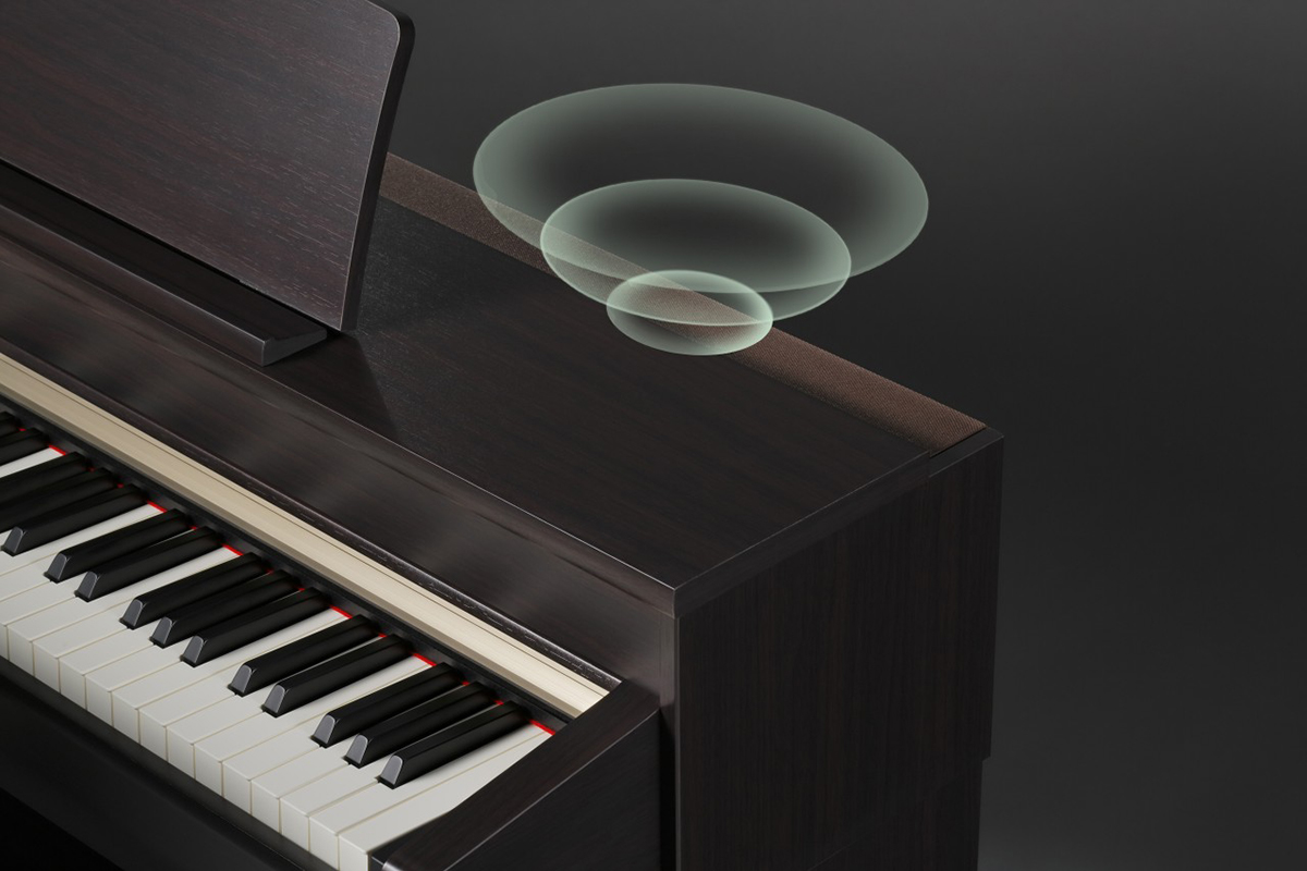 Music City – Tổng Kho Piano, Guitar, Organ | Dịch Vụ Giáo Dục Âm Nhạc