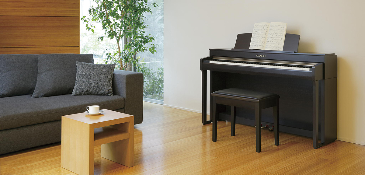 Music City – Tổng Kho Piano, Guitar, Organ | Dịch Vụ Giáo Dục Âm Nhạc