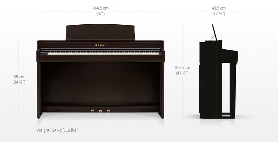 Music City – Tổng Kho Piano, Guitar, Organ | Dịch Vụ Giáo Dục Âm Nhạc