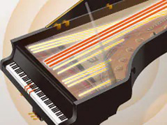 Music City – Tổng Kho Piano, Guitar, Organ | Dịch Vụ Giáo Dục Âm Nhạc