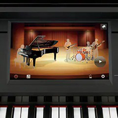 Music City – Tổng Kho Piano, Guitar, Organ | Dịch Vụ Giáo Dục Âm Nhạc