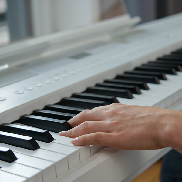 Music City – Tổng Kho Piano, Guitar, Organ | Dịch Vụ Giáo Dục Âm Nhạc