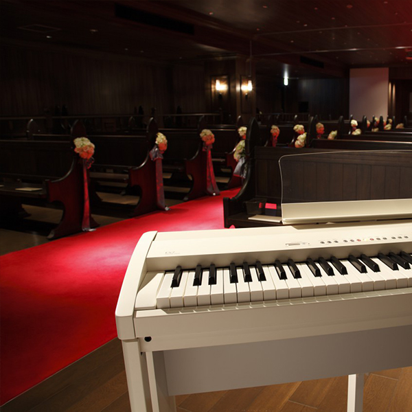 Music City – Tổng Kho Piano, Guitar, Organ | Dịch Vụ Giáo Dục Âm Nhạc