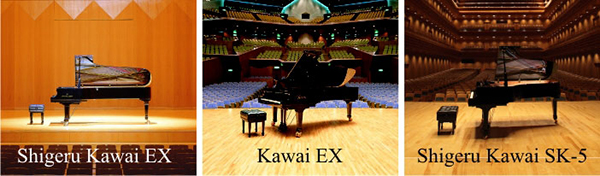 Music City – Tổng Kho Piano, Guitar, Organ | Dịch Vụ Giáo Dục Âm Nhạc