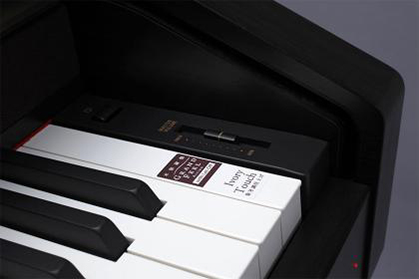 Music City – Tổng Kho Piano, Guitar, Organ | Dịch Vụ Giáo Dục Âm Nhạc