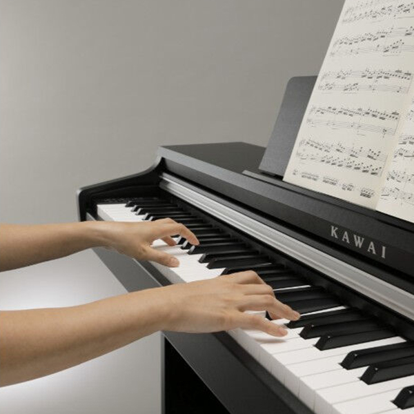 Music City – Tổng Kho Piano, Guitar, Organ | Dịch Vụ Giáo Dục Âm Nhạc
