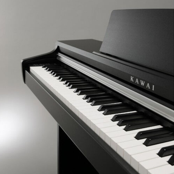 Music City – Tổng Kho Piano, Guitar, Organ | Dịch Vụ Giáo Dục Âm Nhạc