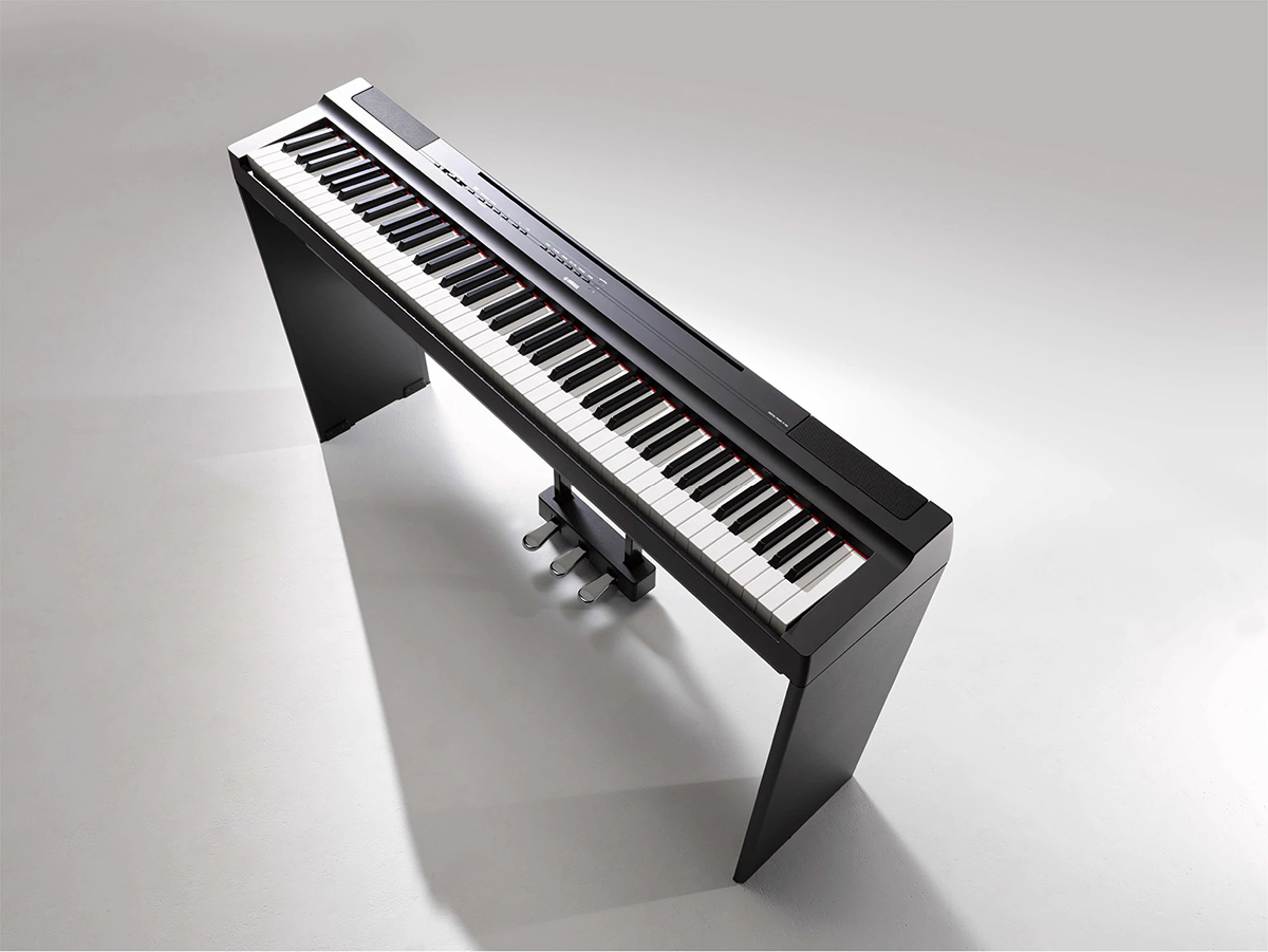 Music City – Tổng Kho Piano, Guitar, Organ | Dịch Vụ Giáo Dục Âm Nhạc