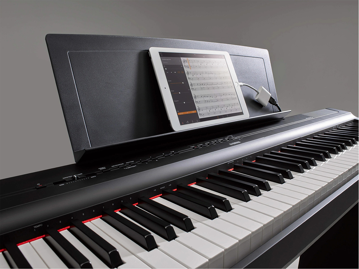 Music City – Tổng Kho Piano, Guitar, Organ | Dịch Vụ Giáo Dục Âm Nhạc