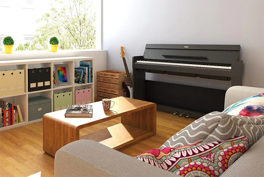 Music City – Tổng Kho Piano, Guitar, Organ | Dịch Vụ Giáo Dục Âm Nhạc