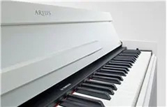 Music City – Tổng Kho Piano, Guitar, Organ | Dịch Vụ Giáo Dục Âm Nhạc