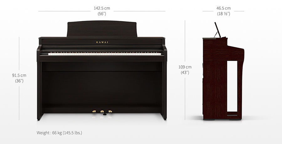 Music City – Tổng Kho Piano, Guitar, Organ | Dịch Vụ Giáo Dục Âm Nhạc
